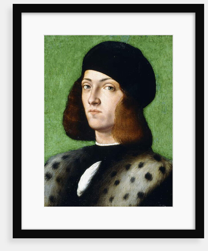 Portrait of a young Gentleman, bust-length, wearing a black cap and black coat, 1506 by Andrea Previtali