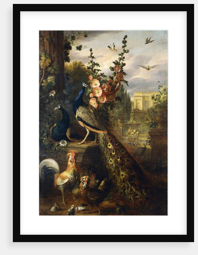 Two Peacocks on a Stone Plinth in a Garden by Jakob Bogdani or Bogdany