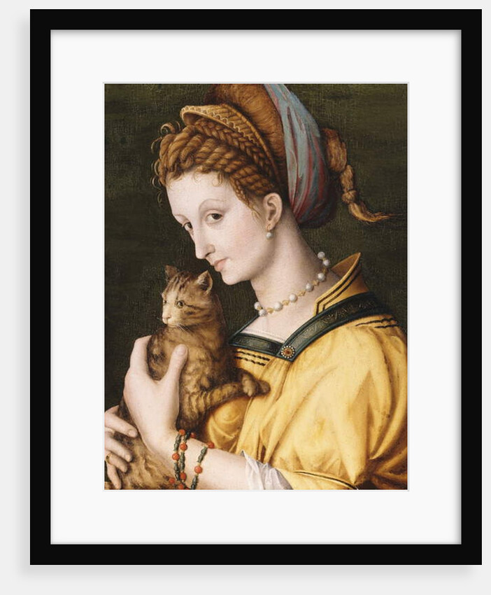 Lady With A Cat, c.1525-30 by Francesco Ubertini Il Bacchiacca