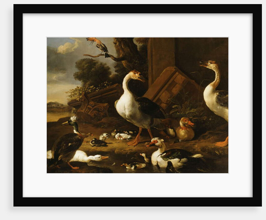 Chinese and Egyptian Geese and other birds in a Landscape with Ruins nearby by Melchior de Hondecoeter
