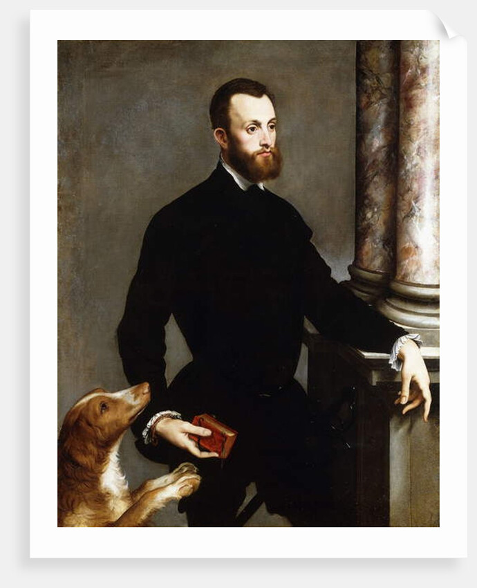 Portrait of a Gentleman, Standing three-quarter length, wearing a black costume and holding a book by Bernardino Campi