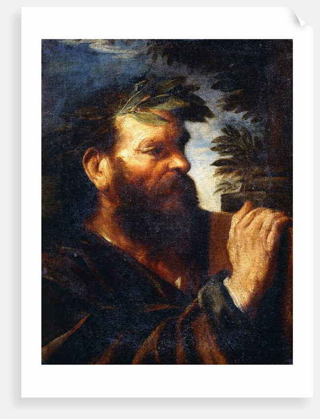 Head of a Sage by Pier Francesco Mola