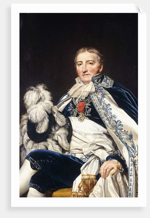 Portrait of Count Francais de Nantes by Jacques Louis David