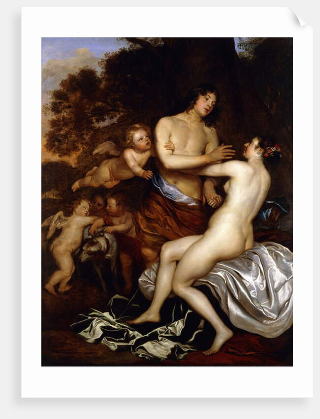 Venus and Adonis by Jan Mytens