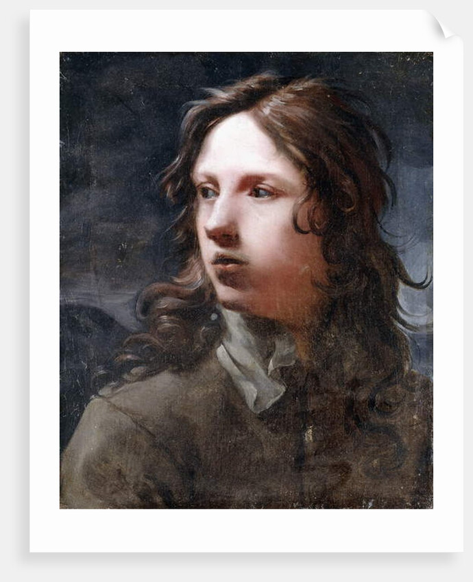 A Young Man by Michael Sweerts