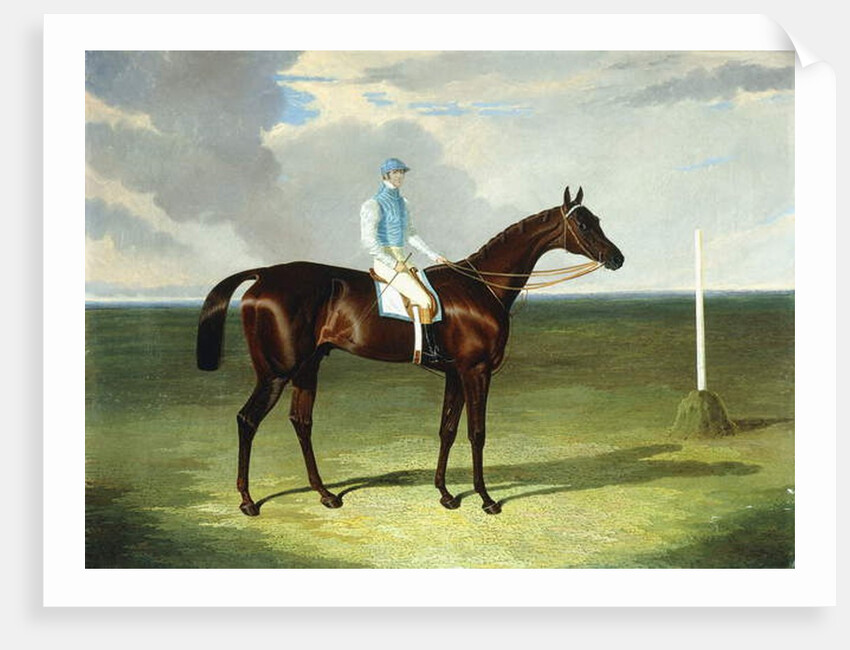 Mssrs. Ridsdale's and Gully's St. Giles with William Scott up, 1832 by John Frederick Herring Snr