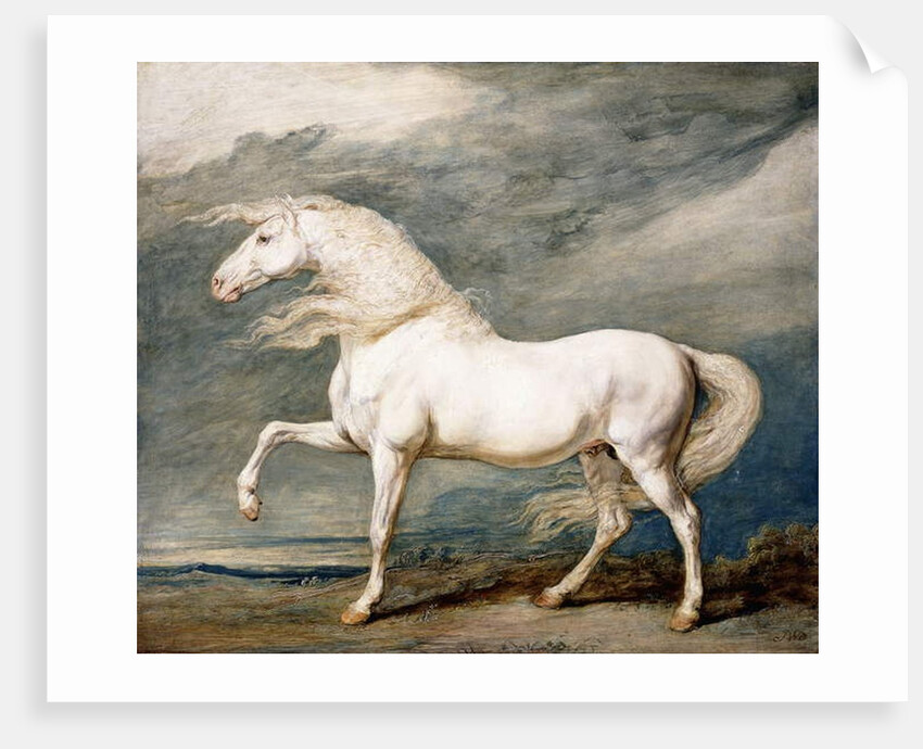 Adonis, King George III's Favourite Charger by James Ward