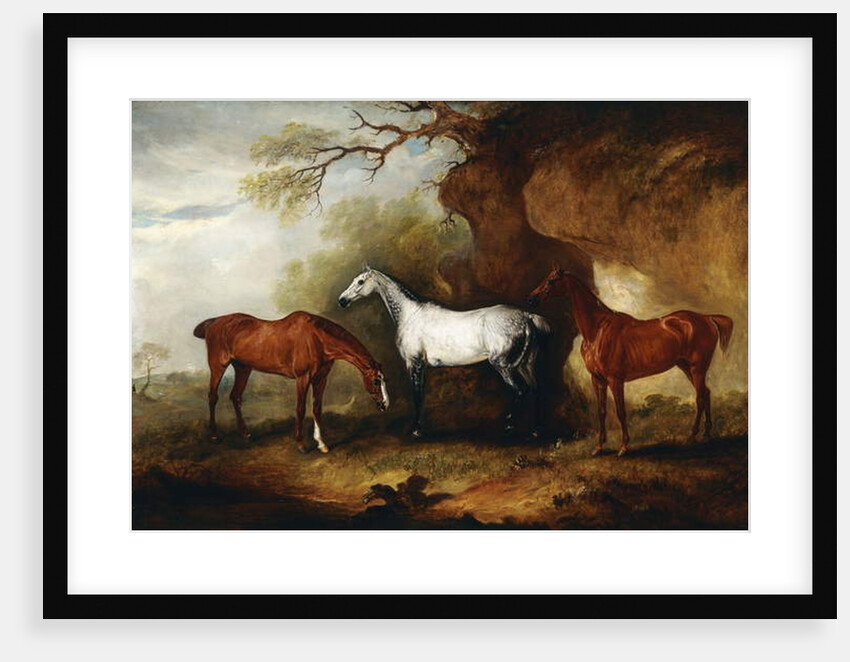 Three Hunters belonging to Robert Myddelton-Biddulph by John E. Ferneley