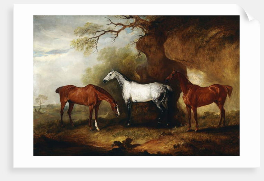 Three Hunters belonging to Robert Myddelton-Biddulph by John E. Ferneley