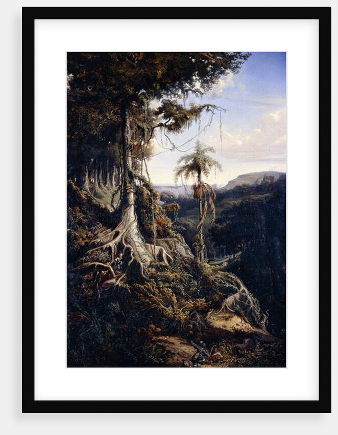 Jala-Jala Forest, c.1839-42 by Auguste Borget