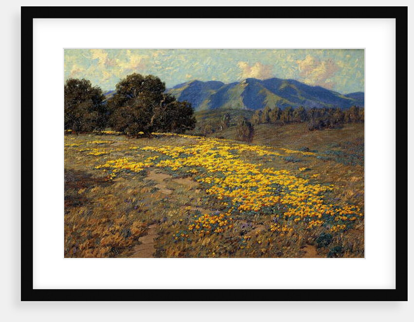 California Poppies by Granville Redmond