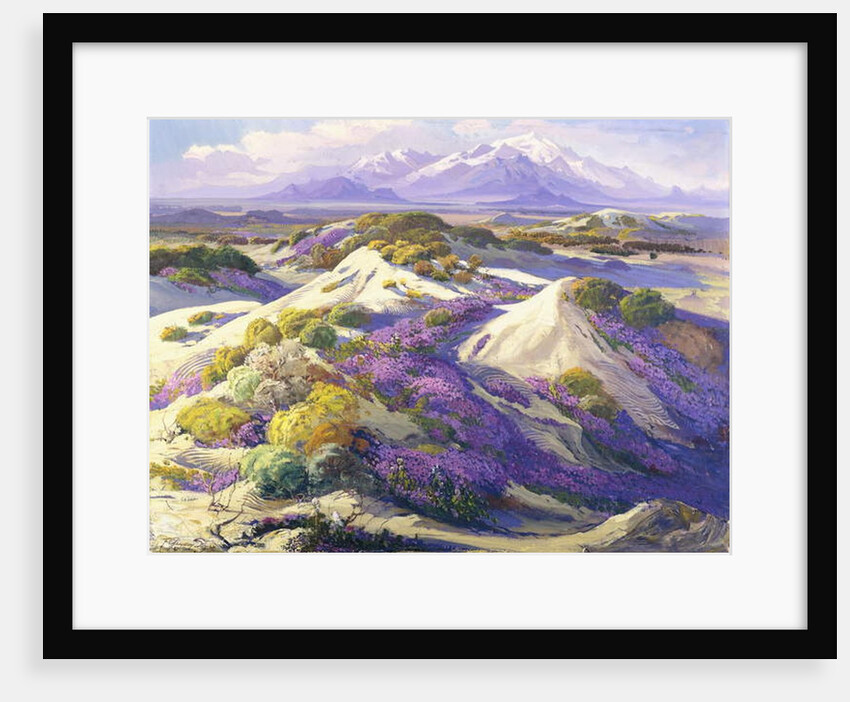 Verbena Clad Dunes by Fred Grayson Sayre