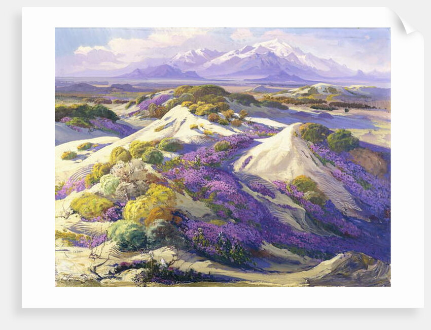 Verbena Clad Dunes by Fred Grayson Sayre