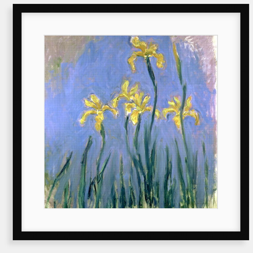 The Yellow Irises, c.1918-25 by Claude Monet
