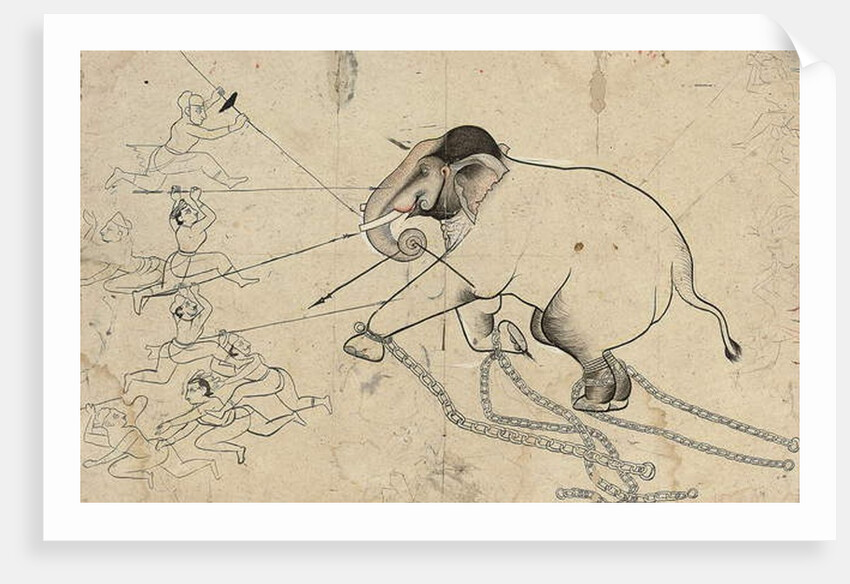 Isarda or kotah preparatory drawing of the taming of an elephant, c.1720 by Indian School