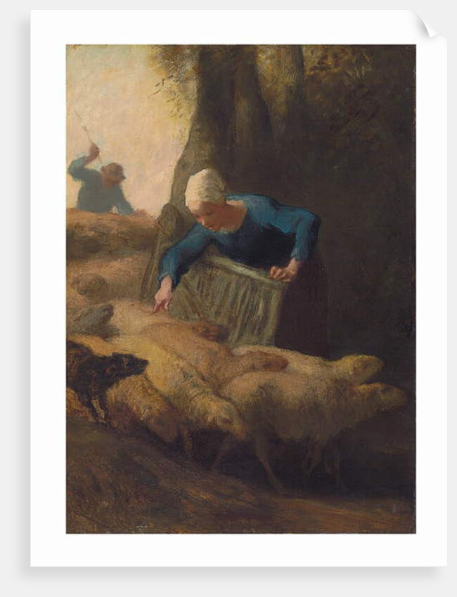 Counting the Flock, 1847-49 by Jean-Francois Millet