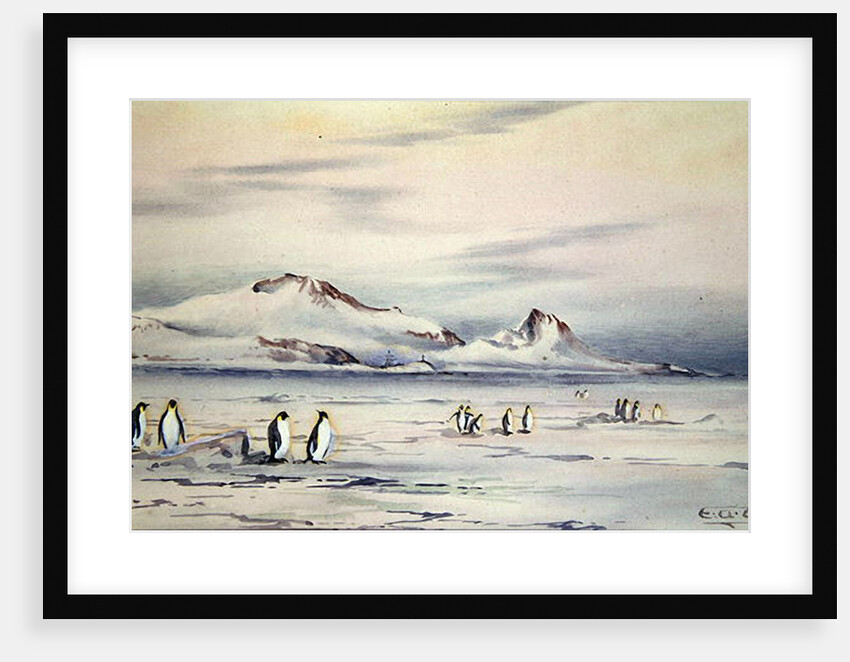 The Discovery Winter Quarters, c.1901-04 by Edward Adrian Wilson