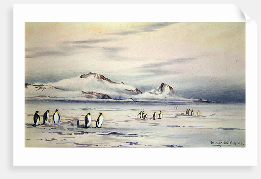 The Discovery Winter Quarters, c.1901-04 by Edward Adrian Wilson