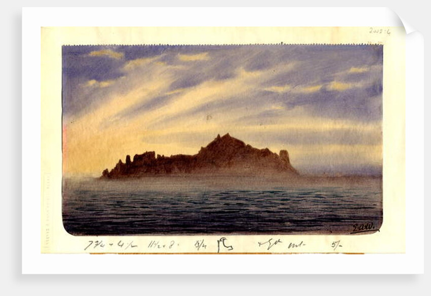 South Trinidad, 1901 by Edward Adrian Wilson