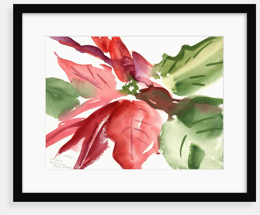 Poinsettia, 2003 by Claudia Hutchins-Puechavy