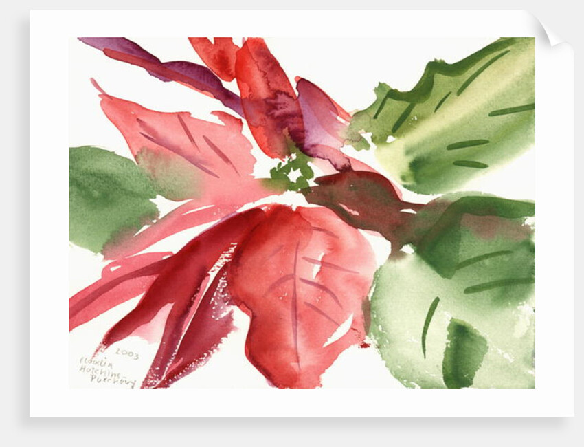 Poinsettia, 2003 by Claudia Hutchins-Puechavy