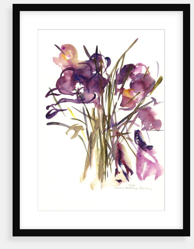 Crocus, 2003 by Claudia Hutchins-Puechavy