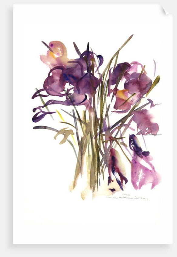 Crocus, 2003 by Claudia Hutchins-Puechavy