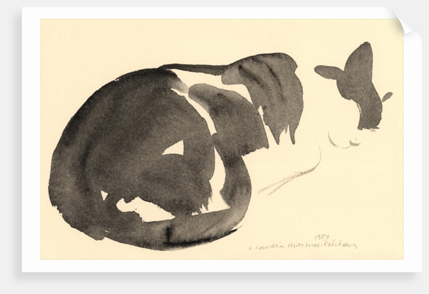 Sleeping cat, 1984 by Claudia Hutchins-Puechavy
