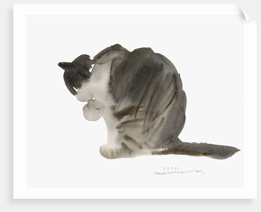 Cat, 1986 by Claudia Hutchins-Puechavy