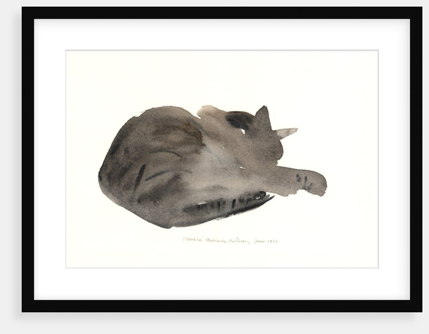 Sleeping cat, 1985 by Claudia Hutchins-Puechavy