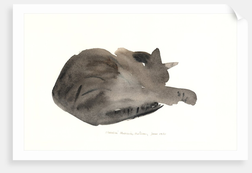 Sleeping cat, 1985 by Claudia Hutchins-Puechavy