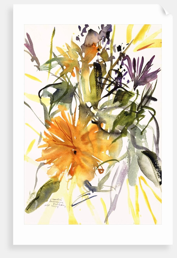 Marigold and Other Flowers, 2004 by Claudia Hutchins-Puechavy