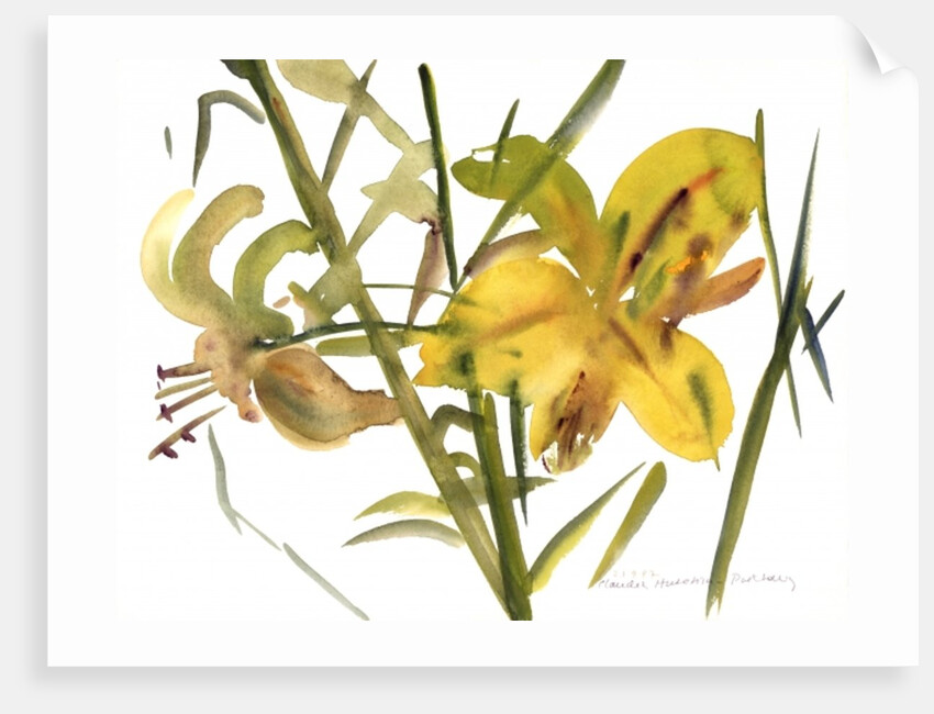 Lilies, 1987 by Claudia Hutchins-Puechavy