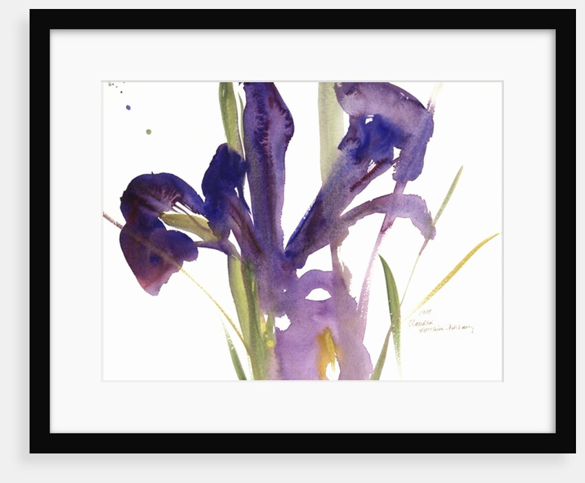 Iris, 1987 by Claudia Hutchins-Puechavy