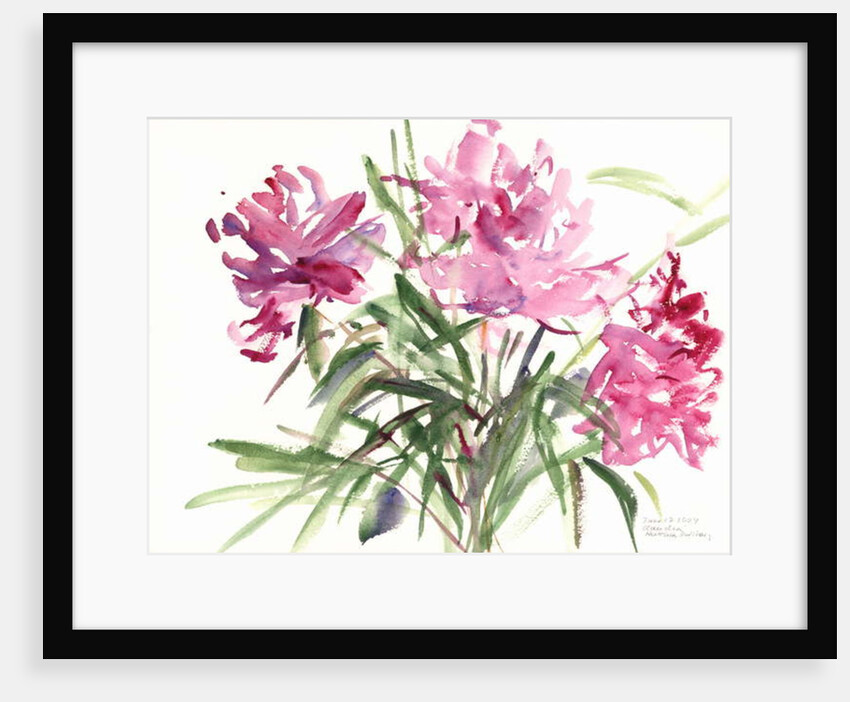 Peonies, 2004 by Claudia Hutchins-Puechavy