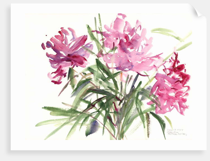 Peonies, 2004 by Claudia Hutchins-Puechavy