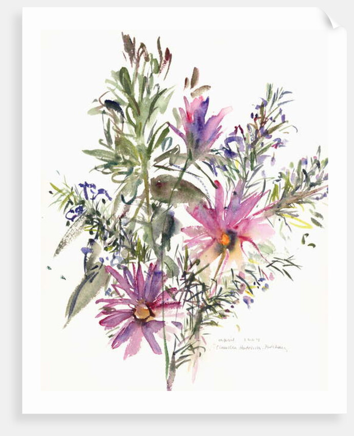 Floral, South African daisies and lavander, 2004 by Claudia Hutchins-Puechavy