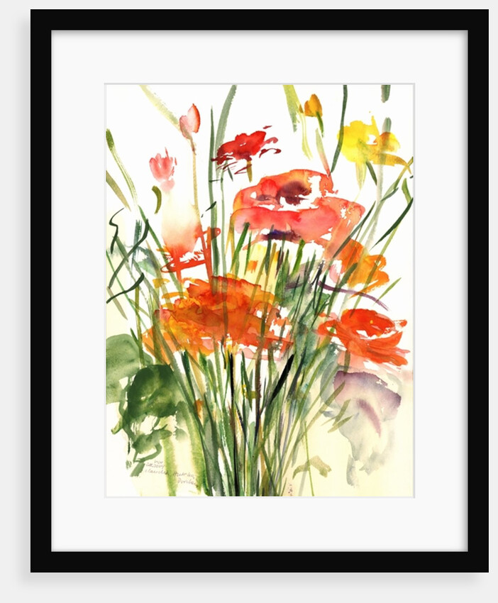 Renoncules, 2001 by Claudia Hutchins-Puechavy