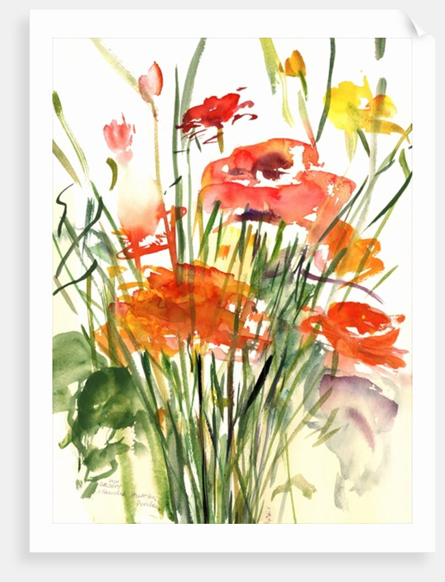 Renoncules, 2001 by Claudia Hutchins-Puechavy