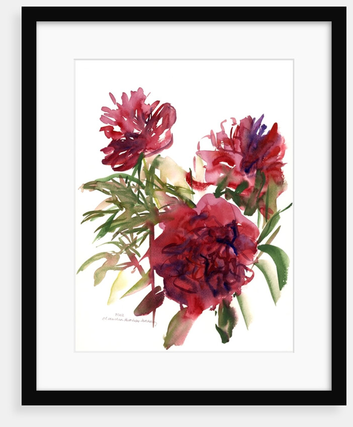 Peonies, 2002 by Claudia Hutchins-Puechavy