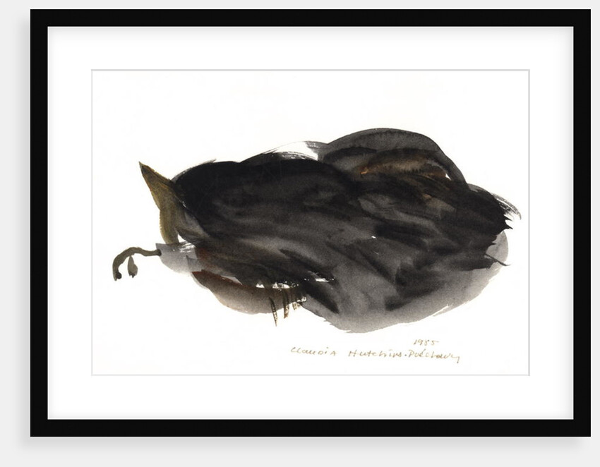 Sleeping Cat, 1985 by Claudia Hutchins-Puechavy