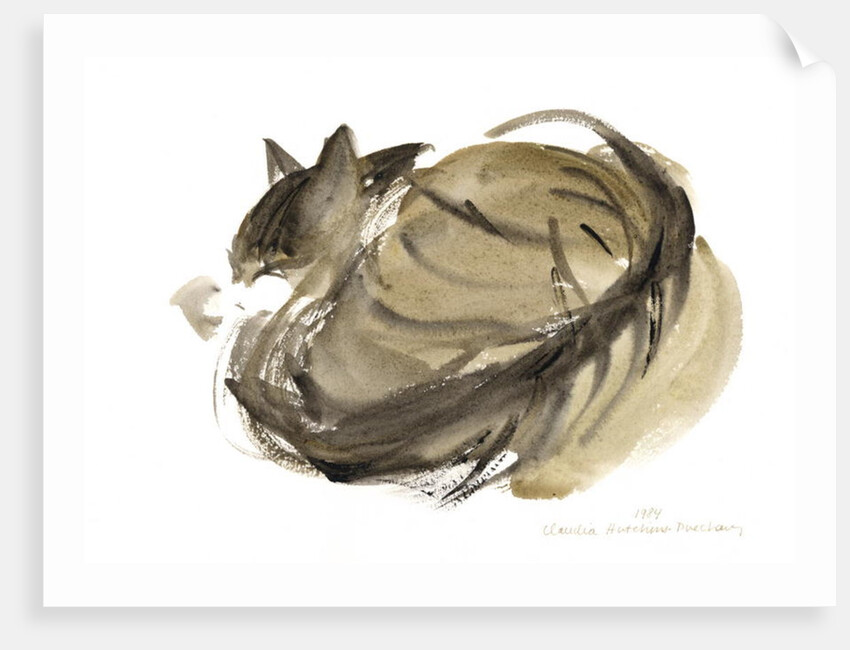 Sleeping cat, 1984 by Claudia Hutchins-Puechavy