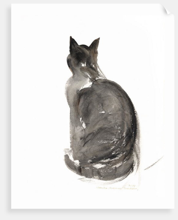 Cat, 1984 by Claudia Hutchins-Puechavy