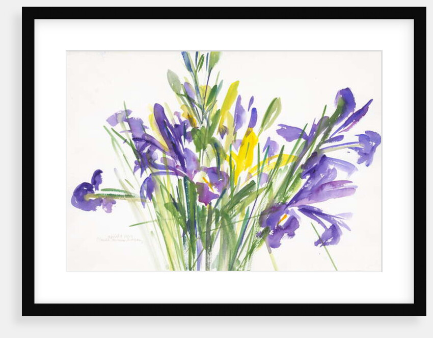 Irises, 1999 by Claudia Hutchins-Puechavy