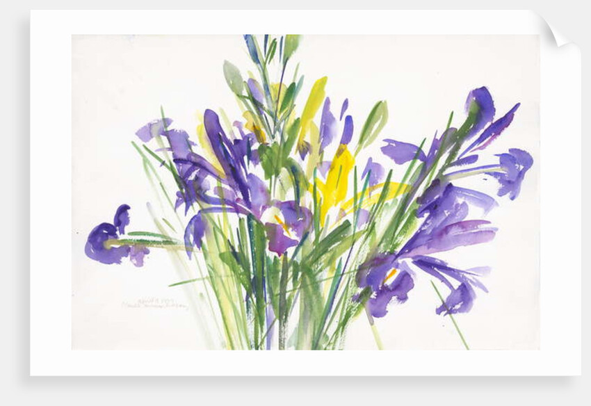 Irises, 1999 by Claudia Hutchins-Puechavy