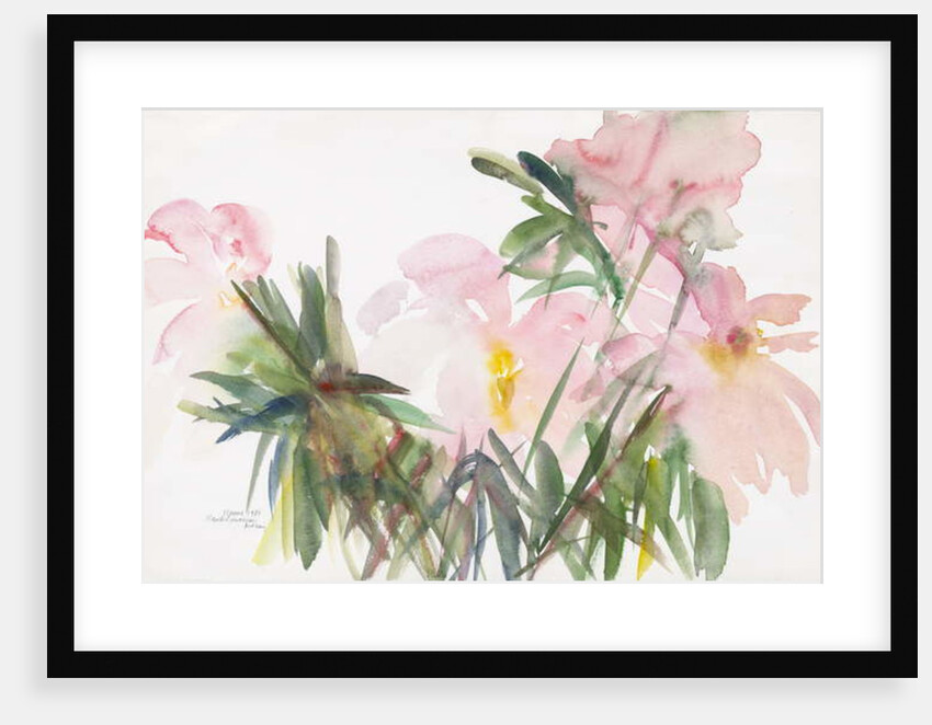 Peonies, 1987 by Claudia Hutchins-Puechavy
