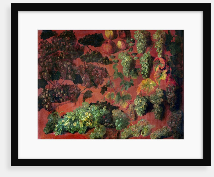 Still Life with Bunches of Grapes by Alexandre-Francois Desportes