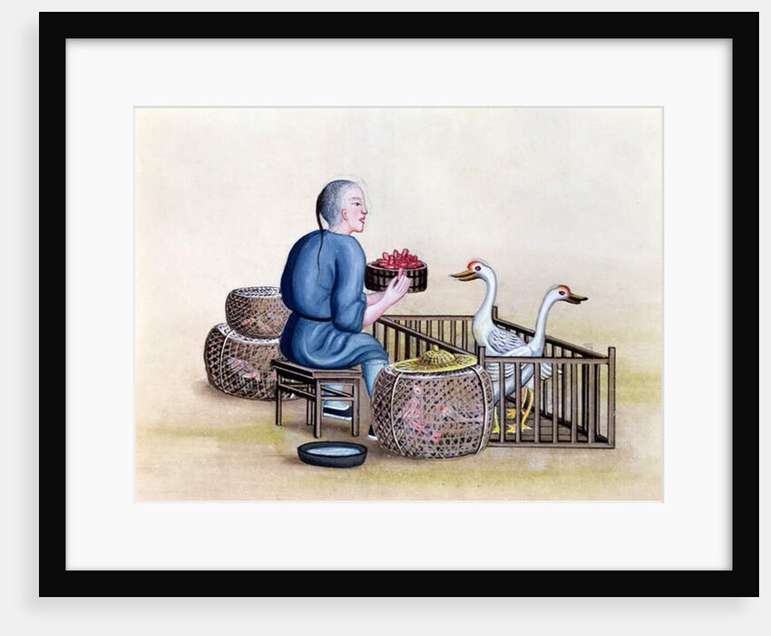 The Poultry Merchant, from a book on the street calls of Peking, c.1785 by French School