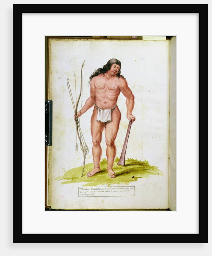 Native of the Caribbean with his weapons by Charles Plumier