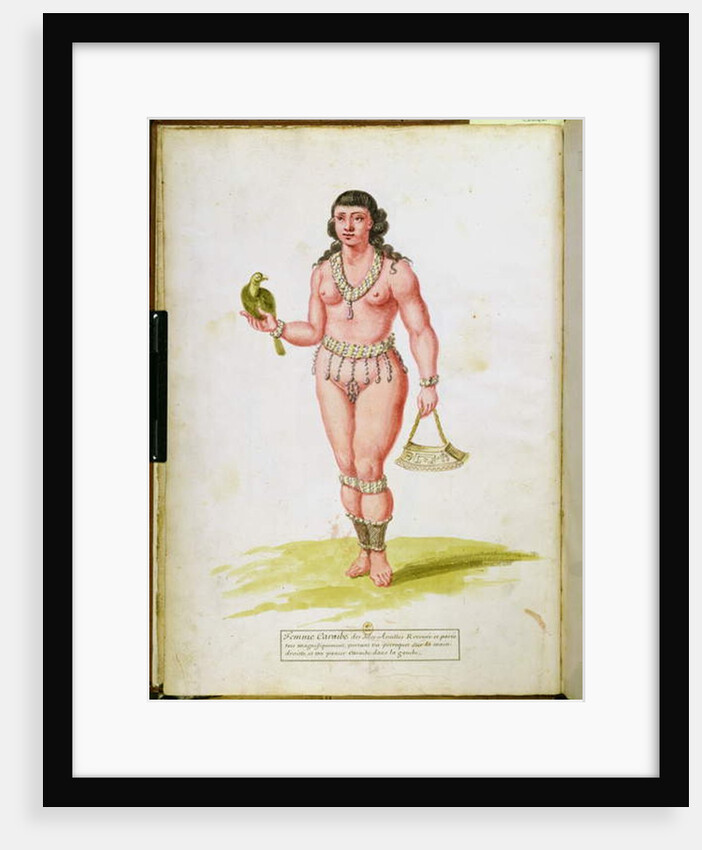 Native of the Caribbean with a parrot by Charles Plumier